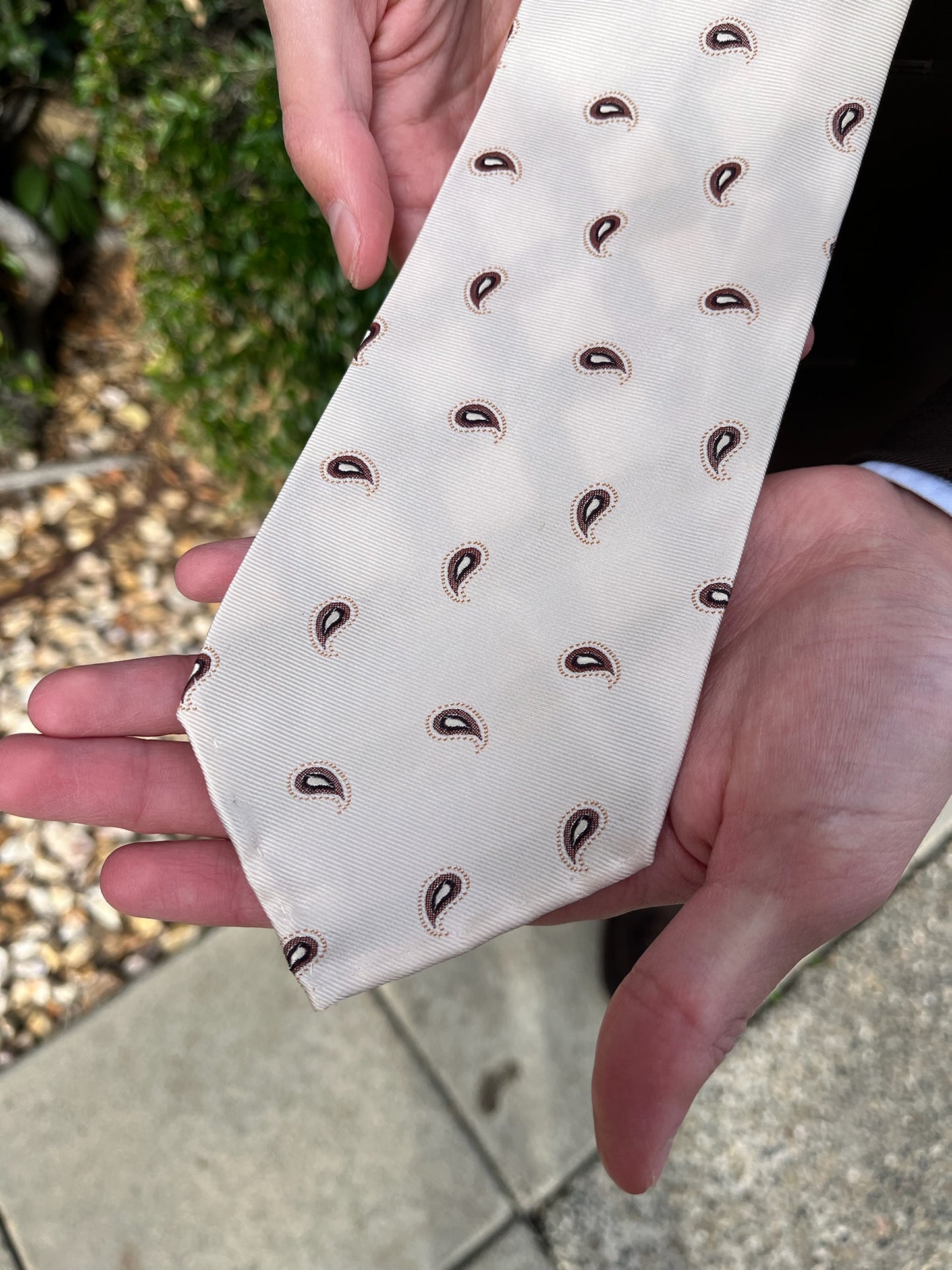 Cream Paisley Silk Tie